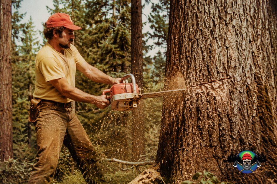 A faded 1970s color photo of a moustached worker in a red cap cutting a large tree with a vintage chainsaw, sawdust flying