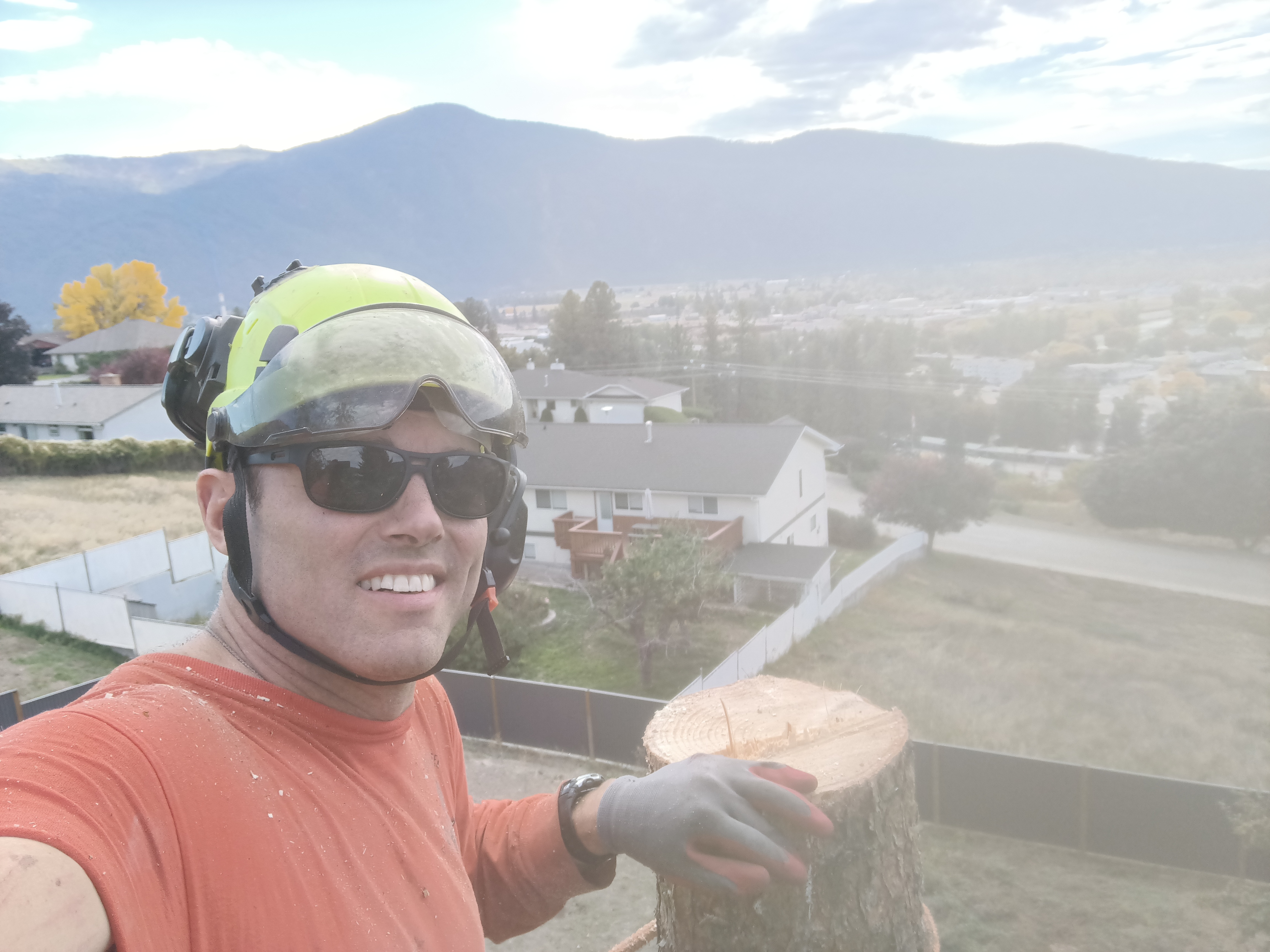 Oliver at the top of a tree with Boundary region valley below