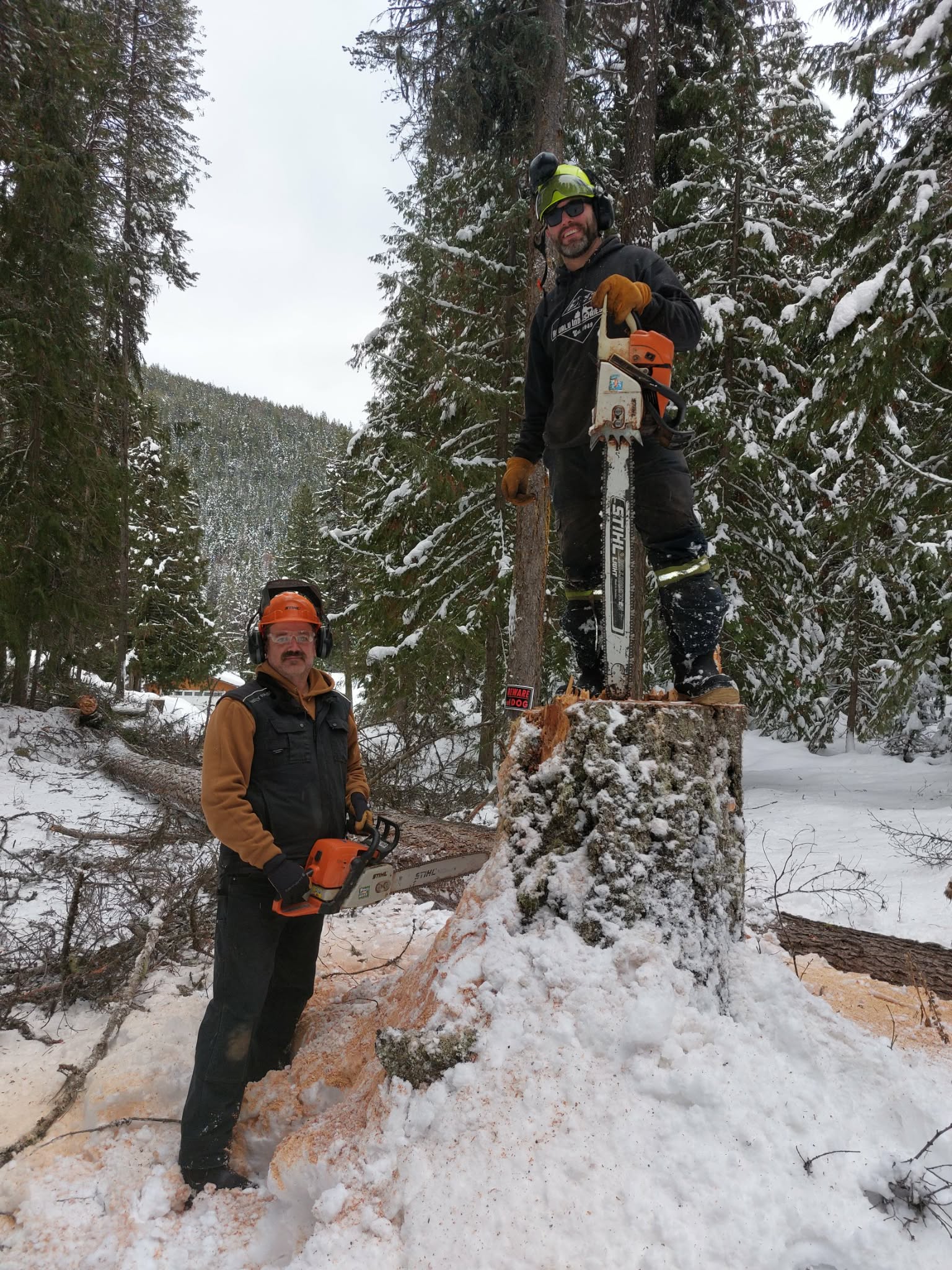 Jewel Creek Tree Service crew ready for work