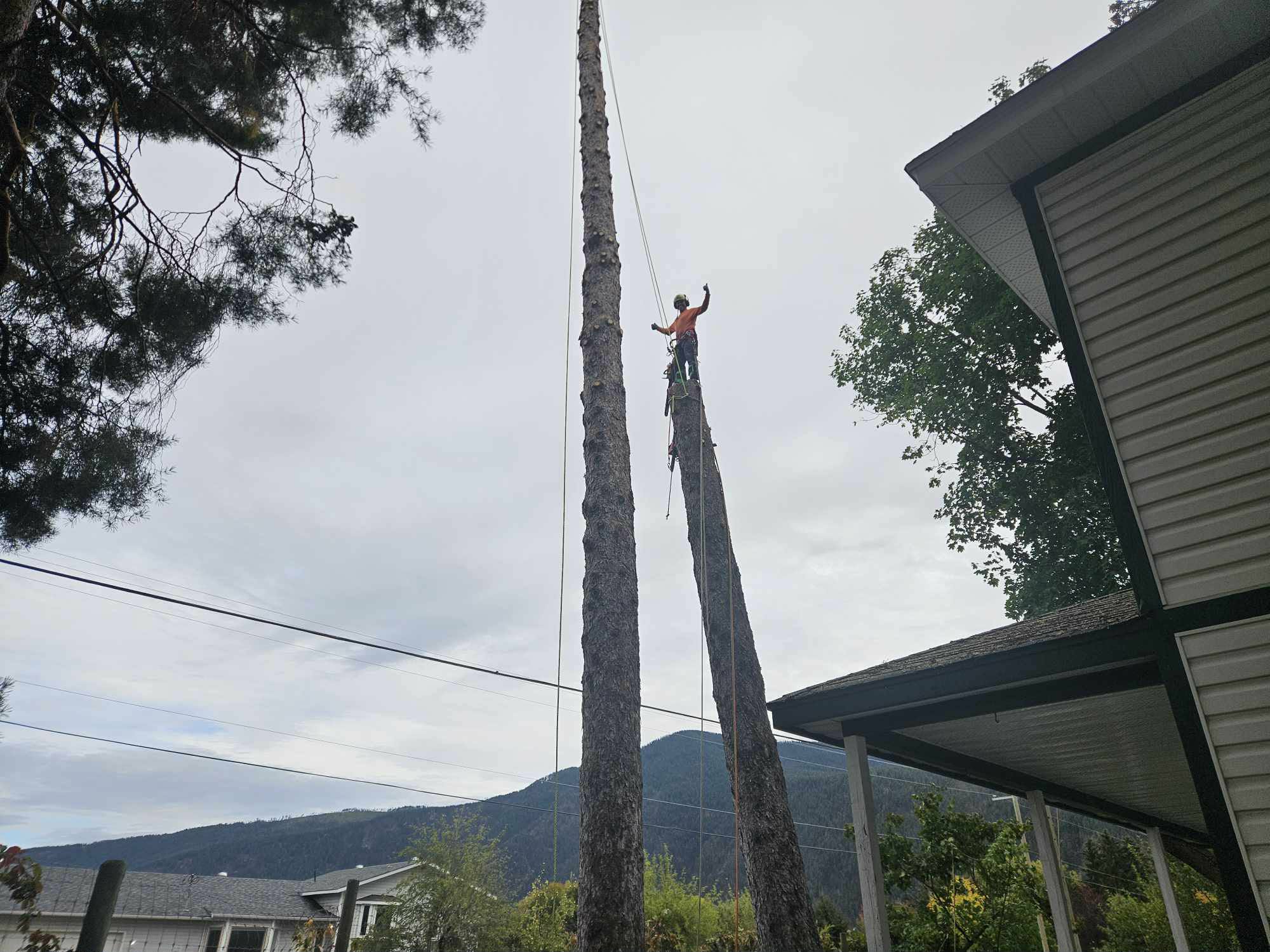 Climber on spar pole