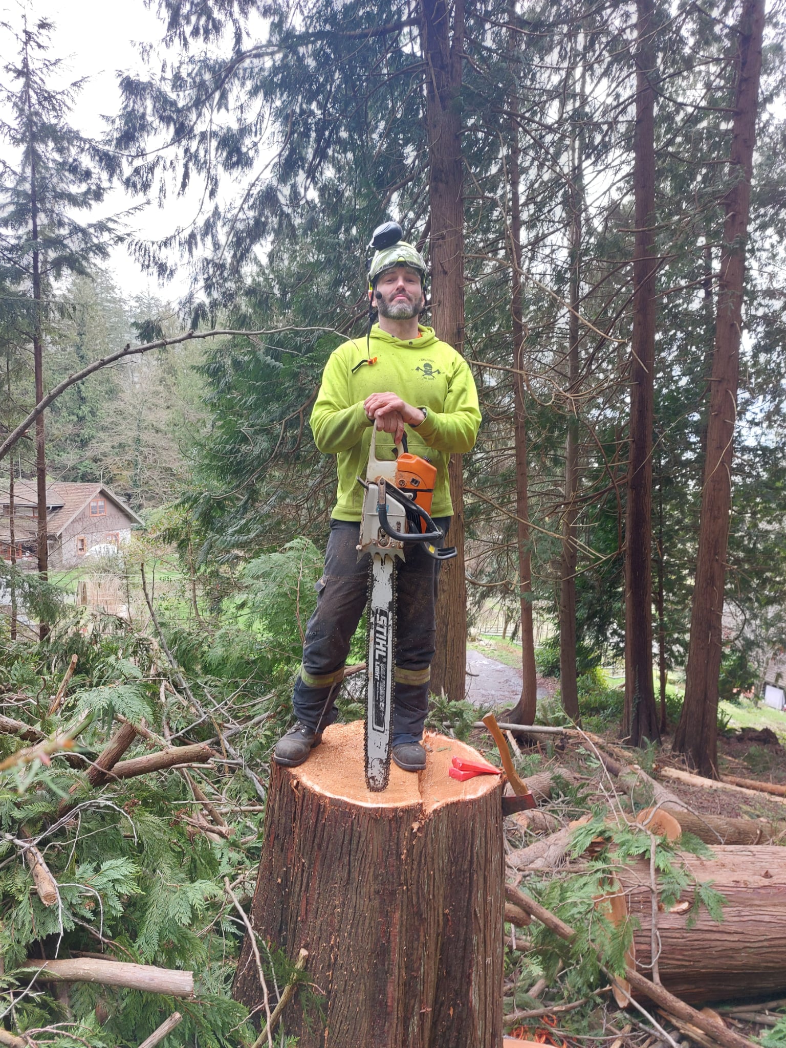 Arborist with chainsaw on fresh-cut stump