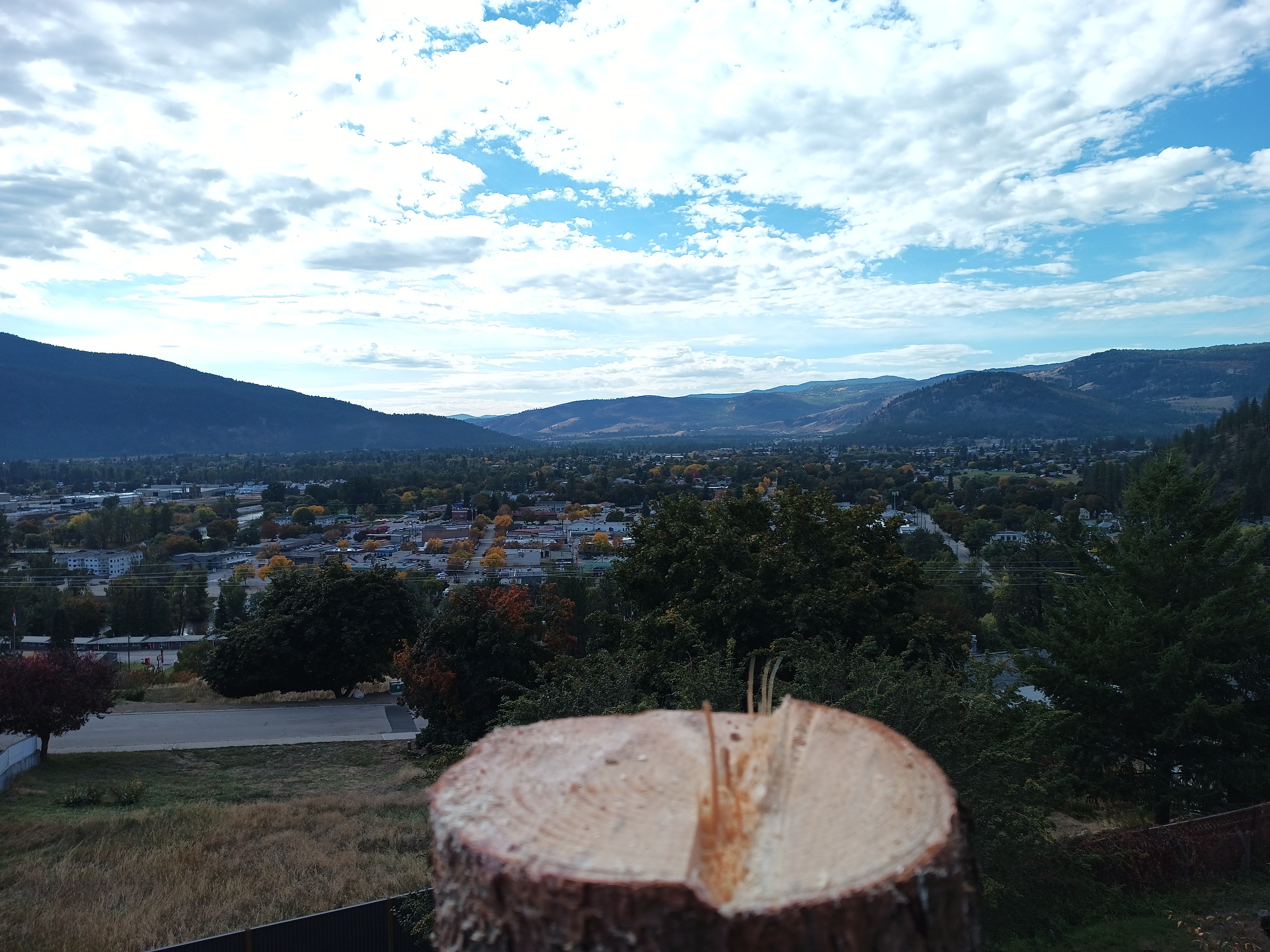 Fresh-cut stump overlooking the Boundary region valley